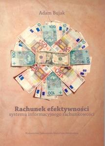 Okładka: Rachunek efektywności systemu informacyjnego rachunkowości